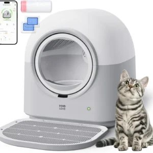 Home s01875688fc0640a9a4c5d26ea158083a3.webp
